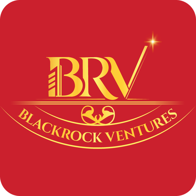 Blackrock Ventures logo